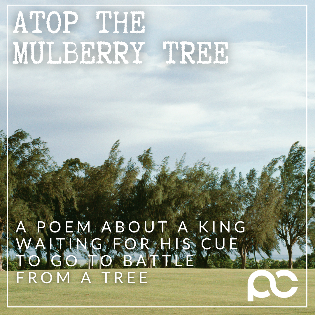 Atop the Mulberry Tree