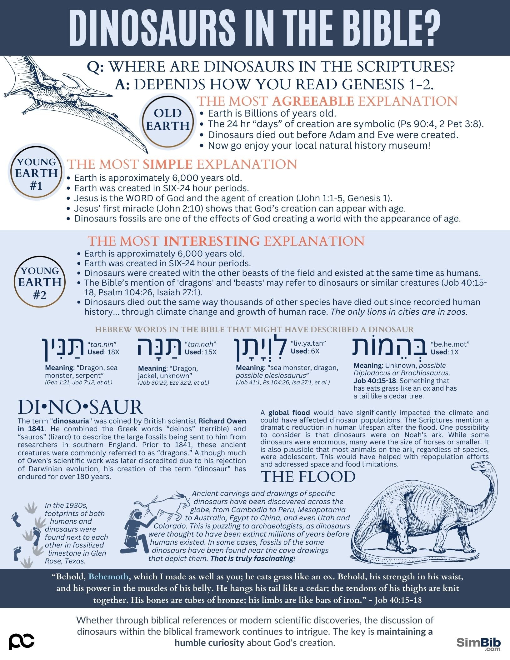 SimBib - Dinosaurs in the Bible