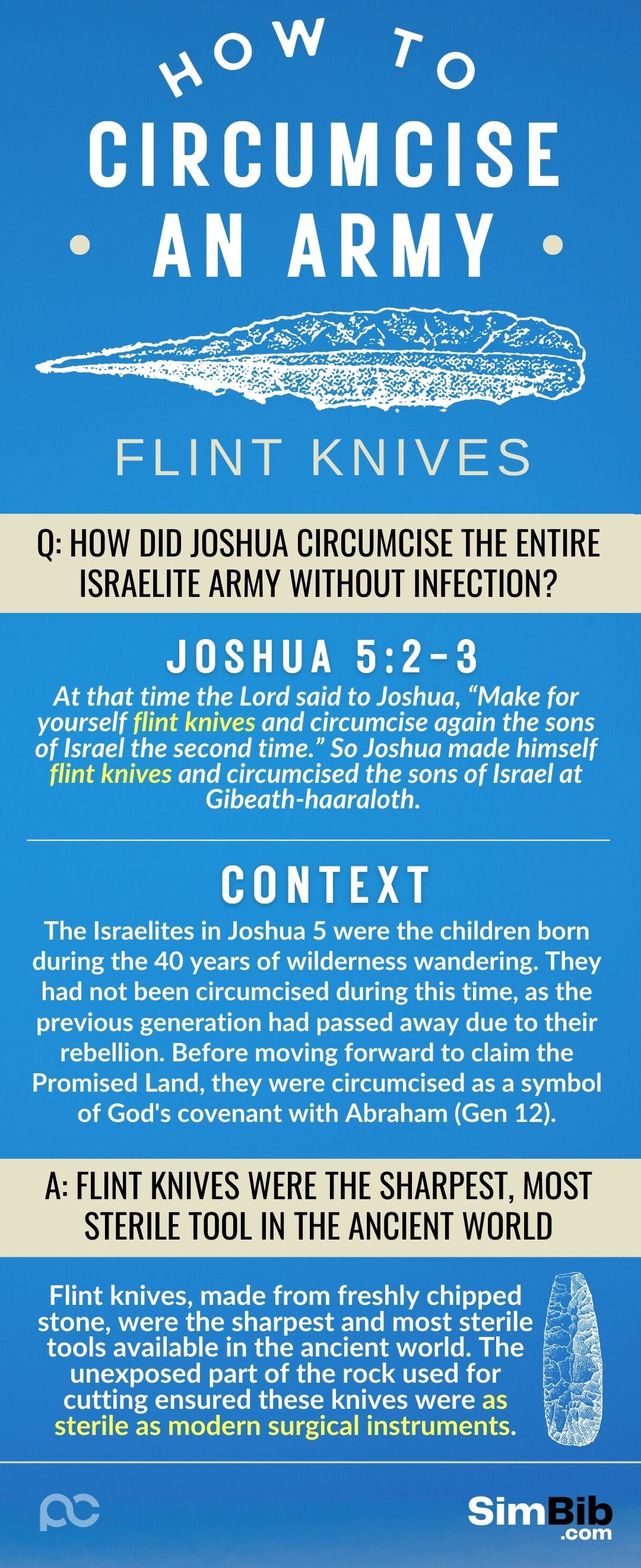 SimBib - Flint Knives