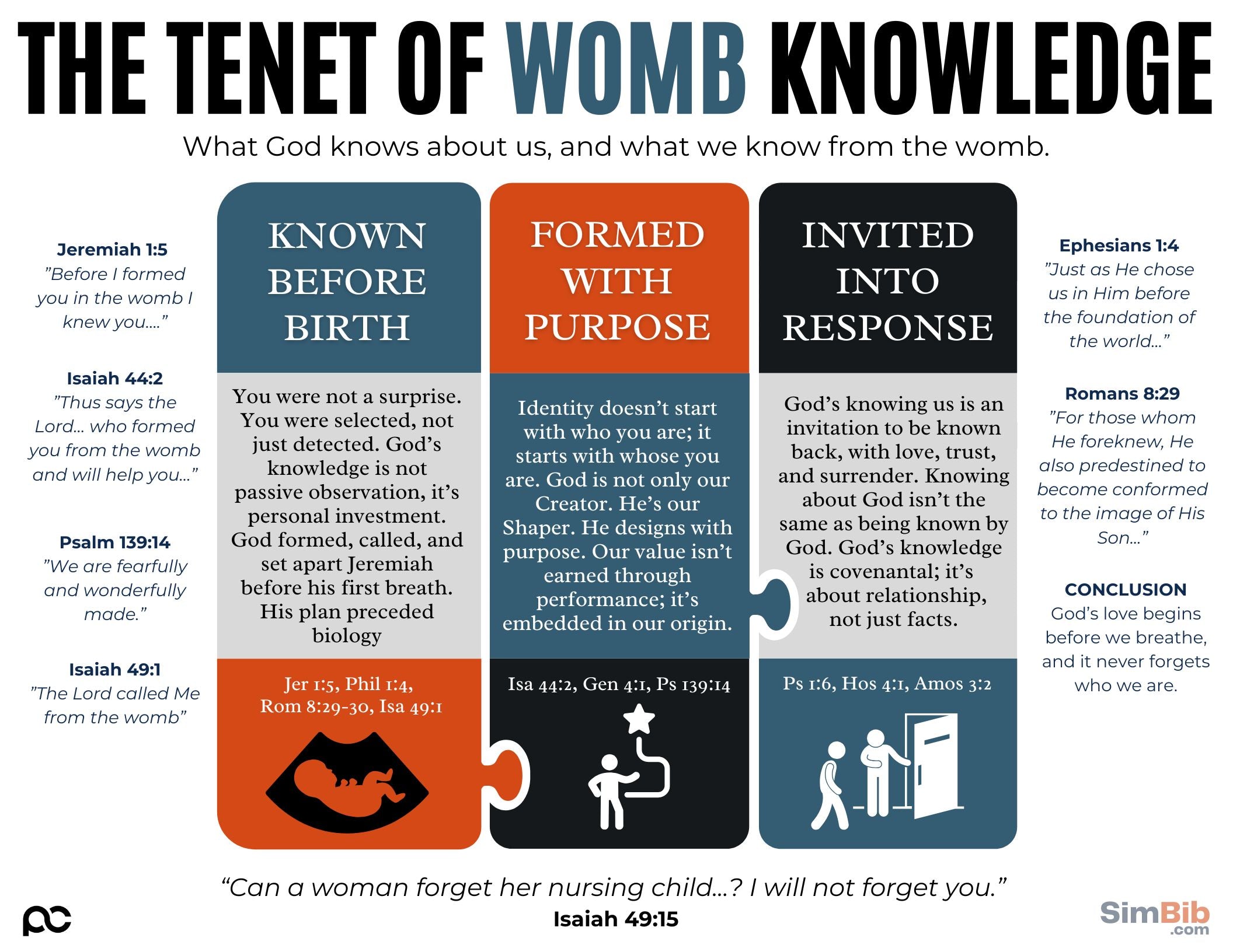 SimBib - The Tenet of Womb Knowledge